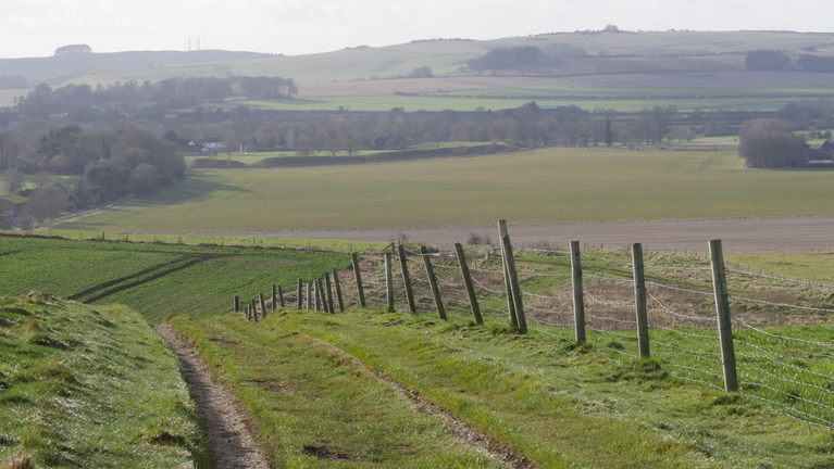 A wide landscape view from the Ridgeway looking back towards Avebury, with the henge and stones visible on the horizon.